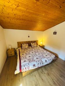 Cozy apartment for 9 people, ski-in out, 2Alpes