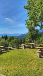 Andrejev dom na Slemenu