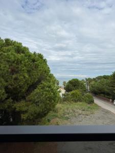 Deluxe Beach Residence