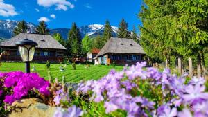 Căsuța Floarea Reginei