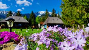 Căsuța Floarea Reginei