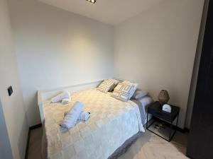 Bright Penthouse with Balcony in Amsterdam Center