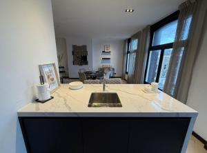 Bright Penthouse with Balcony in Amsterdam Center