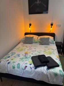 Apartament Trocera 2