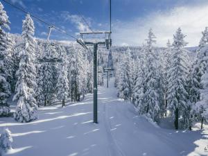 2 pièces rénové skis aux pieds avec parking - FR-1-398-583