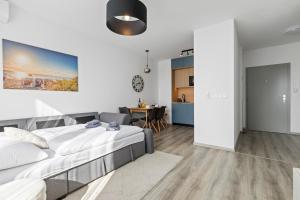 Bratislava Airport Apartment