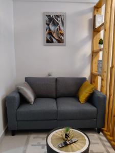 LeyCar studios at Newrise Gardens near JKIA& SGR