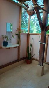 Jungle Hill Top House