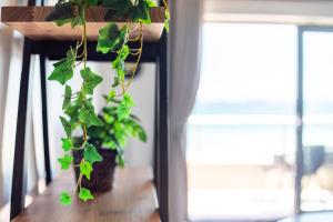 Sea Spray B403 by CTHA