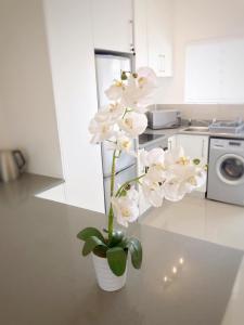 Portswood Mews 14 by CTHA