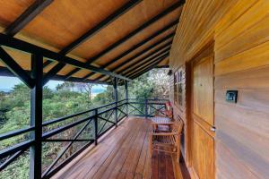 Cinnamon Wild Yala