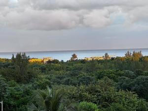 Seaview Studio steps from the Quinta Av and beach!