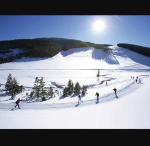Relaxation in a Tiny House
