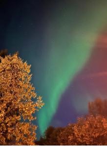 Lapland Aurora Apartment- with FreeParking WiFi near center