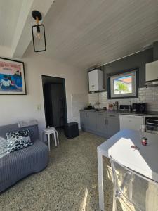 Appartement T2 3 étoiles, agréable avec jardin, plage à pied