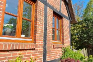 Insel-Reetkate auf Fehmarn mit Hund