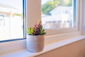 Exclusive 3 Bedroom Lodge - Walk To Saundersfoot