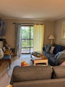 Tranquil lagoon view 2 BR condo on Hilton Head Island