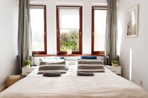 Willa na skraju lasu Fox - MAZURY