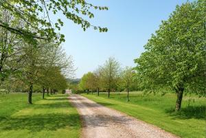 Beautiful large family home near Bruton and Bath