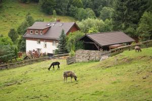 Zagroda Studzienno & Agroturystyka