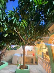 Alojamiento en Bani, cerca de la playa y las Dunas