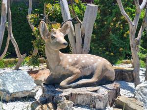 Glamping Cabañas Sharmont