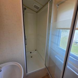 Thornwick bay, Dunlin 4