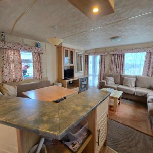 Thornwick bay, Dunlin 4