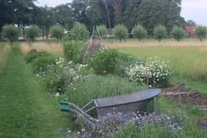 Belltent t Bievink - buitengewoon overnachten