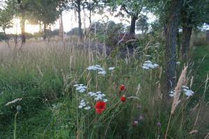 Belltent t Bievink - buitengewoon overnachten