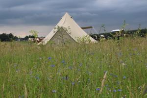 Belltent t Bievink - buitengewoon overnachten