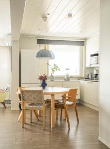 The Luxury Downtown Rovaniemi with sauna