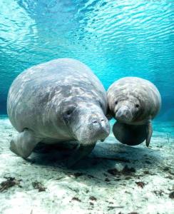 Modern Boho 2bed 2bath home right in downtown