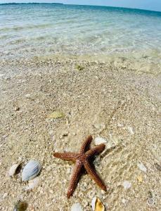 Modern Boho 2bed 2bath home right in downtown