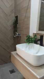 Sunčani apartman - Studio - 3