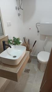 Sunčani apartman - Studio - 3