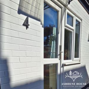 The Distinguished Squirrel - Room 4 - New Forest