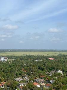 Sandora Living