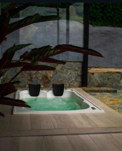 ZOI Eco Hotel y Glamping