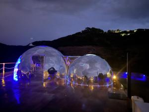 Palmaria Sky Bubbles Room