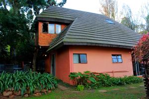 Treks, Trips and Trails