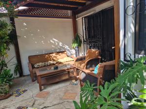 Casa Corazón Beachfront private room & terrace!