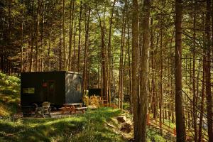 Postcard Cabins Western Catskills, Outdoor Collection by Marriott Bonvoy