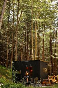 Postcard Cabins Eastern Catskills, Outdoor Collection by Marriott Bonvoy