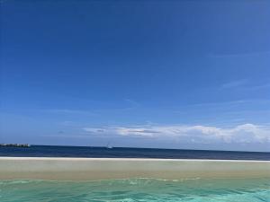 Beachfront 2BR 2BA Condo w Balcony, Ocean Views