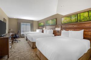 Best Western Plus Valemount Inn & Suites