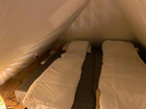 Aalborgs mest centrale lille hyggelige New Yorker lejlighed