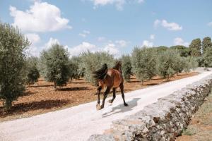 Masseria Lamacoppa by Boutique Villa