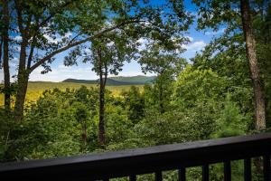 Once Upon an Oak Ledge